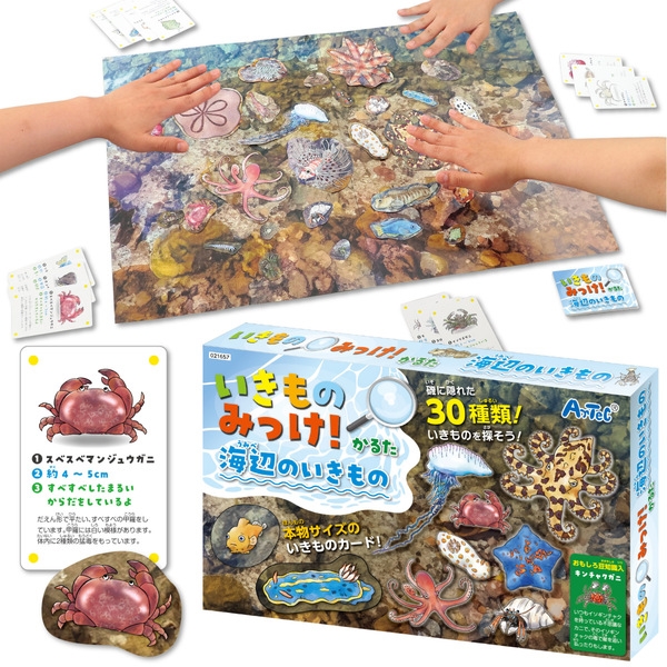いきものみっけ!かるた うみべのいきもの 21657