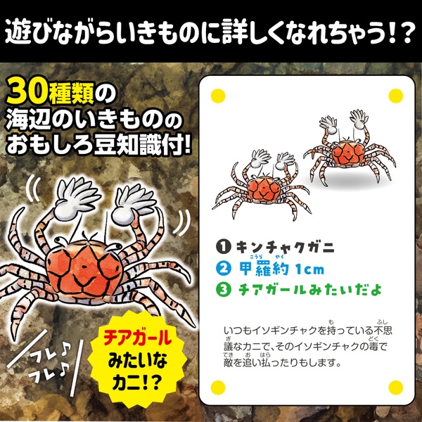商品補足画像3