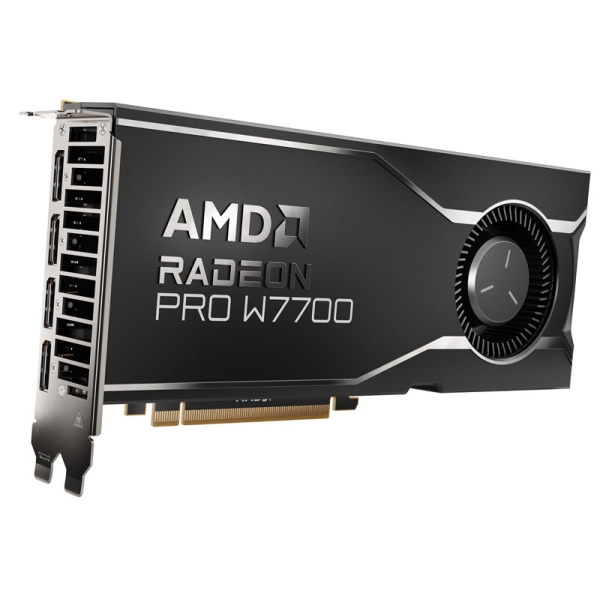 Radeon PRO W7700 100-300000006