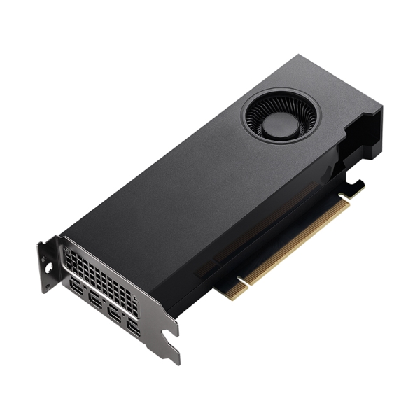 (美品 )ELSA エルザ NVIDIA RTX A2000 6GB GDĐR6 ELSA NVIDIA RTX A2000 ENQRA2000-6GER - NTT-X Store