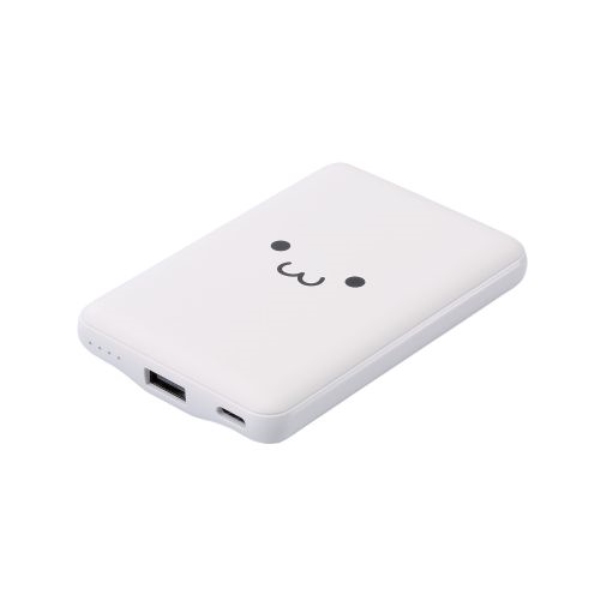 oCobe[/`ECIdr/^/15Wo/5000mAh/USB Type-Co1|[g/USB-Ao1|[g/낿 DE-C45-5000WF