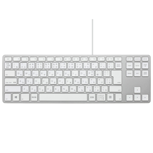 Matias Wired Aluminum Tenkeyless Keyboard for PC - Silver {z FK308PCS-JP