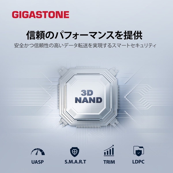 Gigastone 外付けSSD 1TB USB3.2 Gen2 最大500MB/s 高速ポータブルSSD