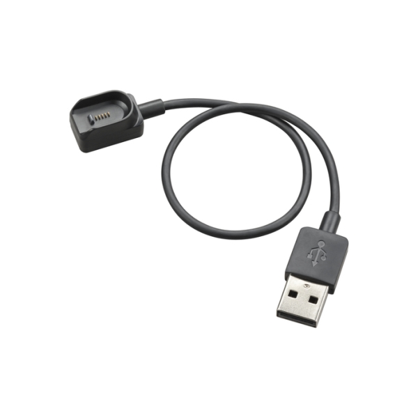 PLY VOY Legend Chrg Cbl USB-A 85S00AA