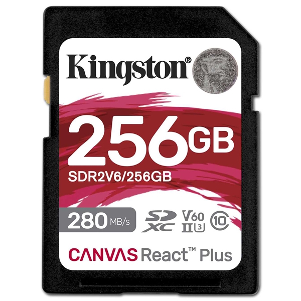 Canvas React Plus V60 SD J[h 256GB SDR2V6/256GB