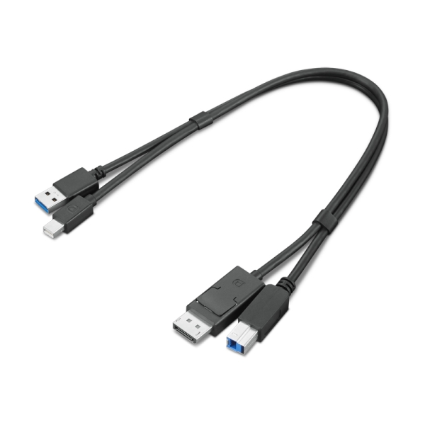 ThinkStation Mini-DisplayPort/USB Type-A3.0 - DisplayPort/USB Type-B3.0 ϊA_v^[ 4X91D11453