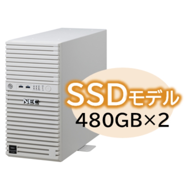 Express5800/D/T110m Xeon E-2414 4C/16GB/SSD 480GB*2 RAID1/W2022/^[ 3Nۏ NP8100-2995YP5Y