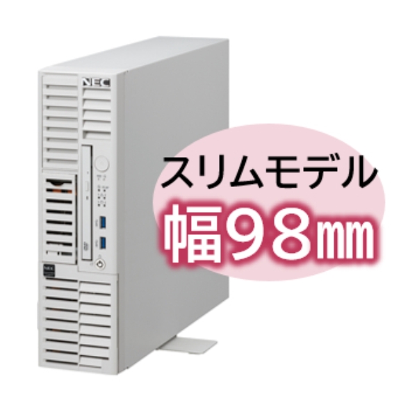 Express5800/D/T110m-S Xeon E-2414 4C/16GB/SAS 600GB*2 RAID1/W2022/タワー型 3年保証 NP8100-2993YPKY