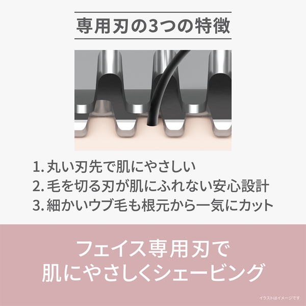 ���i�⑫�摜3