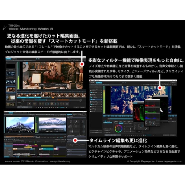 ペガシス TMPGEnc Video Mastering Works 8 TVMW8 - NTT-X Store