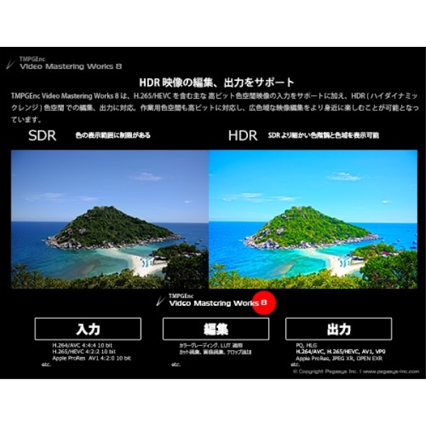 ペガシス TMPGEnc Video Mastering Works 8 TVMW8 - NTT-X Store