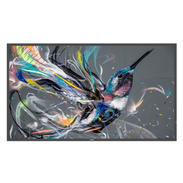 PHILIPS(ディスプレイ) 液晶ディスプレイ（サイネージ） 50型/3840