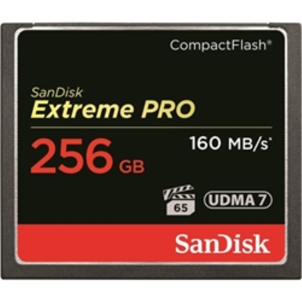 SanDisk GNXg[ v RpNgtbV 256GB SDCFXPS-256G-J61