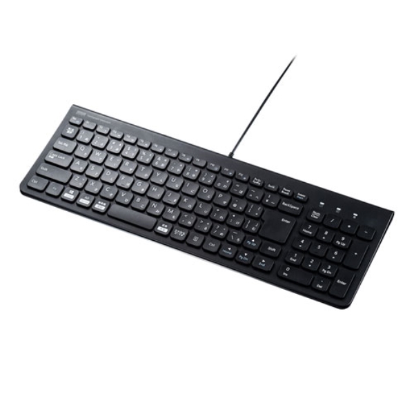 USBスリムキーボード(テンキー付き・ブラック) SKB-SL31BK