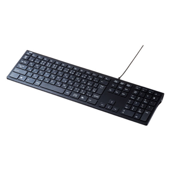 USBスリムキーボード(ブラック) SKB-SL33BK