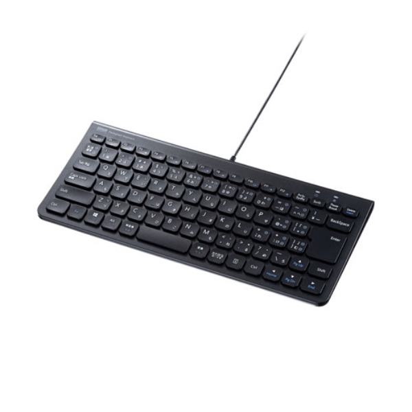 USB Type-Cスリムキーボード(テンキー無し・86キー) SKB-SL32CBK