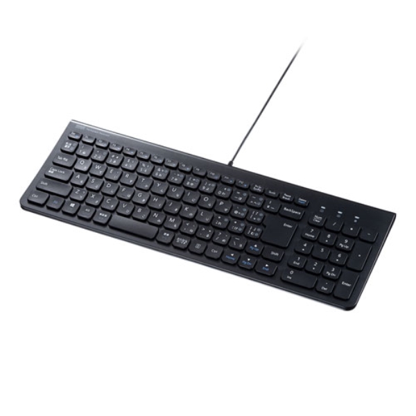 USB Type-Cスリムキーボード(テンキー付き・103キー) SKB-SL31CBK