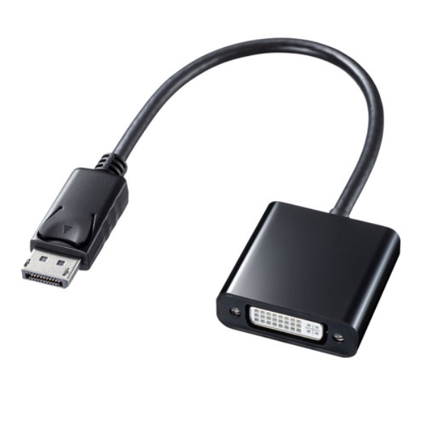 DisplayPort-DVIϊA_v^ AD-DPDV04