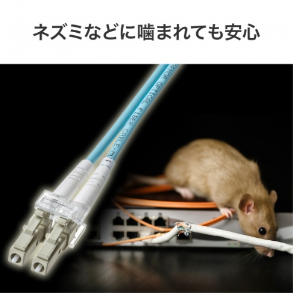 商品補足画像7