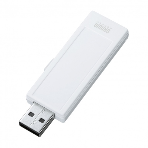 USB2.0 (4GB) UFD-RNS4GWN