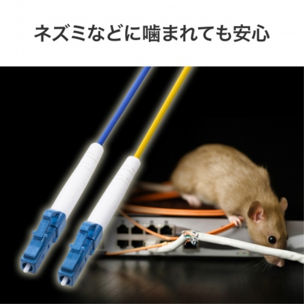商品補足画像6