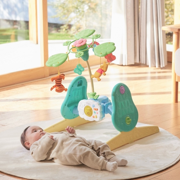 タカラトミー えらべる回転 6WAYジムにへんしんメリー プラス くまの