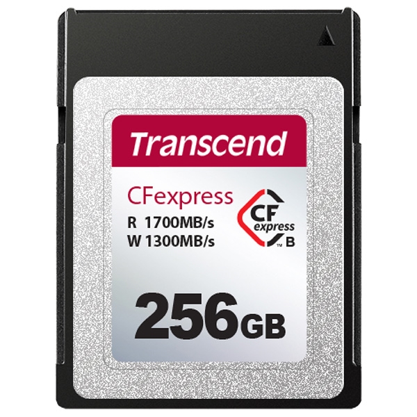 CFexpress Type B 256GB TS256GCFE820