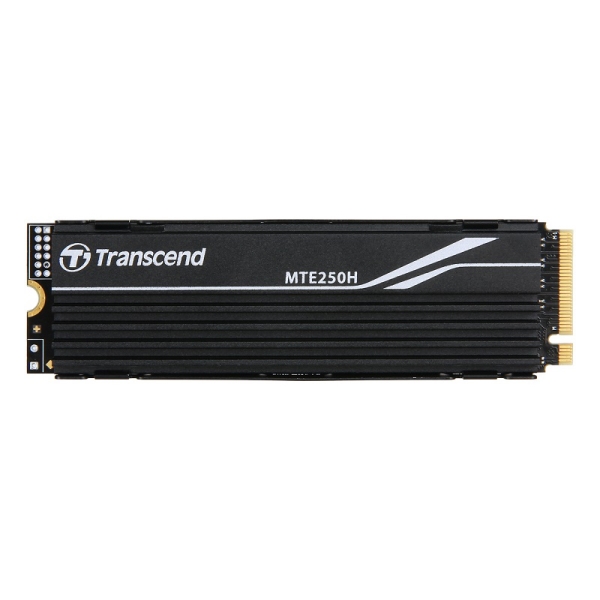 1TB M.2 2280 PCIe Gen4x4 NVMe 3D with Dram(Metal Heatsink) TS1TMTE250H