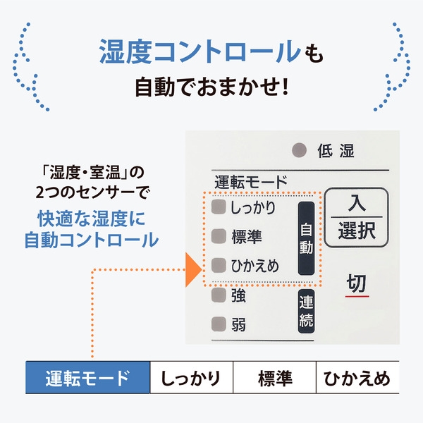 ���i�⑫�摜6