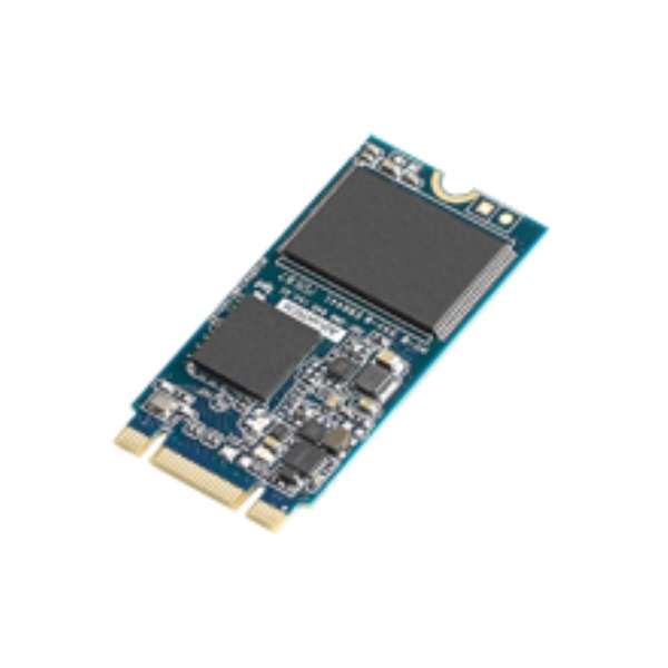 SQF M.2 2242 SSD 256GB MLC (-40`85) SQF-SM4M2-256G-SBE