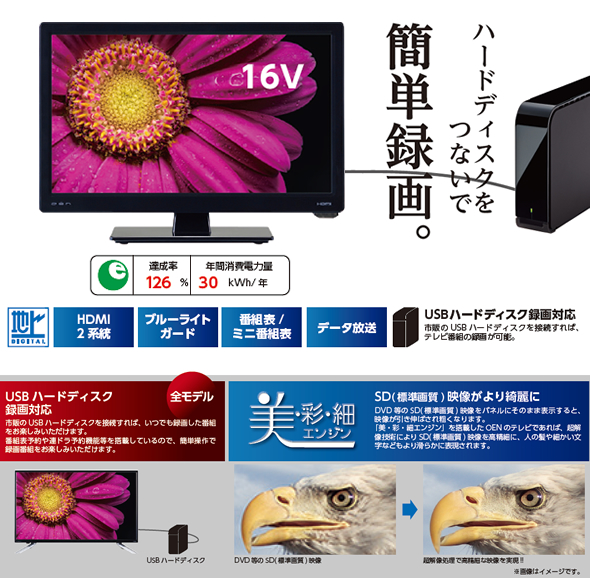 ドウシシャ OEN 16型 地上デジタルハイビジョンLED液晶テレビ USB-HDD