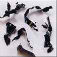 i⑫摜9