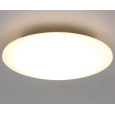 アイリスオーヤマ LEDシーリングライト 12畳向け リモコン付属 調光10段階 調色11段階 常夜灯2段階 おやすみタイマー CL12DL-5.0