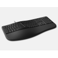 MS Ergonomic Keyboard for Business Win32 USB Port LXN-00018