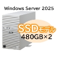 NP8100-3026YPAY