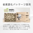 ���i�⑫�摜6