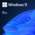 Windows 11 Pro 64bit Japanese DSP DVD 【LANボード セット限定】 FQC-10539